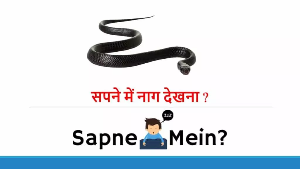 सपने में नाग देखना ?